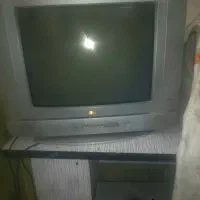 تلویزیون