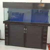 آکواریوم بزرگ