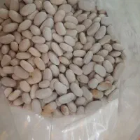 لوبیا سفید