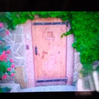واحد-فروشی-نامیله