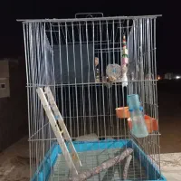 قفس پرنده