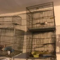 ۶عدد قفس قناری سهره