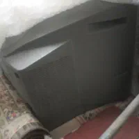 تلوزیون