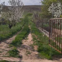 باغ ۴۰۰۰ متری در روستای ده سرخ سد کارده