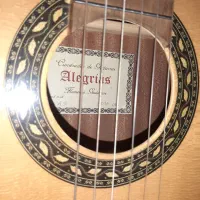گیتار algresias|گیتار، بیس، امپلیفایر|اندیمشک, |دیوار