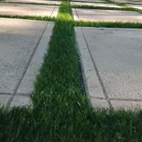 چمن مصنوعی و فنس برگی