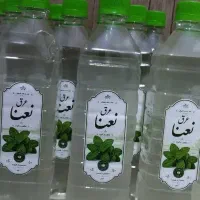 نعناع