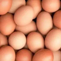 تخم مرغ
