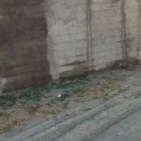 سیمانکاری سیاه و سفید