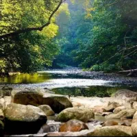 آموزش تخصصی نقاشی طراحی حرفه ای کیش