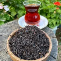 چای بهاره گیلان