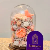 باکس شمع شیشه ای جاودان مدل اقتصادی