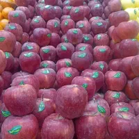 نیرو ماهر برای میوه فروشی