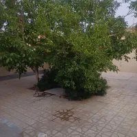 خانه-ویلایی-بزرگ-واقع-در-گز-برخوار