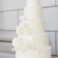 فروشنده خانم