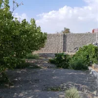 زمین300مترپلاک-باغی-220میلیون-تیمیارت-سرمایه-گذاری