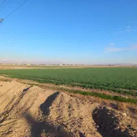 زمین-کشاورزی-سند-ششدانگ-تک-برگ