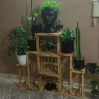 استند گل