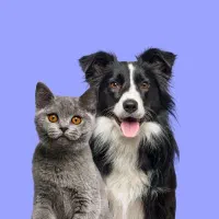 استخدام فروشنده پت شاپ