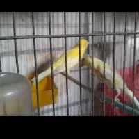 اکواریوم کامل باپایه بدون ماهی