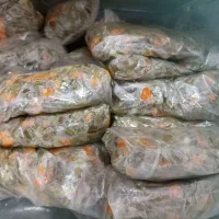 سفارش لوبیا سبز نیشابور پذیرفته میشه