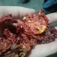 گوجه خشک