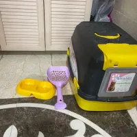 دستشویی مسقف گربه