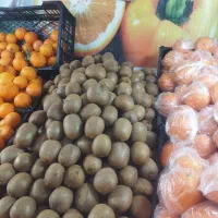 میوه فروشی باغ بهشت