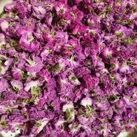 گل محمدی خشک ۲کیلودارم کیلویی ۱۳۰۰
