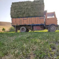 فروش یونجه