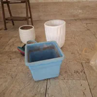گلدان|گل و گیاه طبیعی|تهران, دانشگاه شریف|دیوار