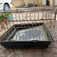 قفسه حیوانات