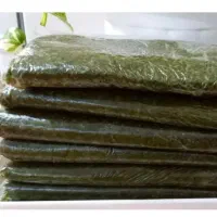 دهکده خیابان اصلی