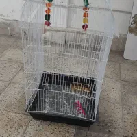 وقت بخیر قفس بزرگ