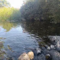 کارگر ساده