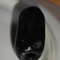 پادزهر اصل