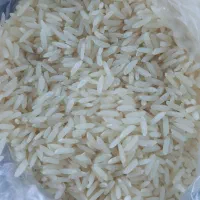 برنج هاشمی کشت دوم