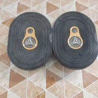 یه جفت باند مارک zenon