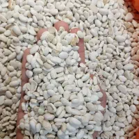 لوبیا سفید ریز *ایرانی* امسالی حبوبات /تازه/