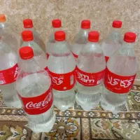 انواع محصولات جنگلی وبه عمده داده میشود