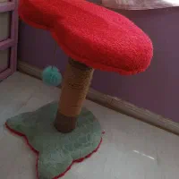 اسکرچر و قلاده گربه