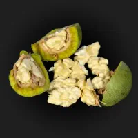 گردو پوست سبز