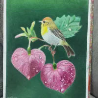 فروش تعدادی نقاشی