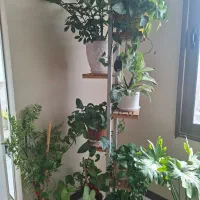 استند گلدان