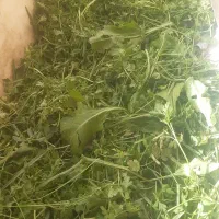 سبزی خورشتی