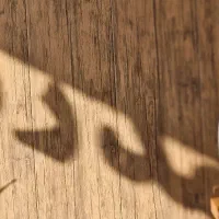 املاک مدرن// مجاهد // مجتمع سراصلی