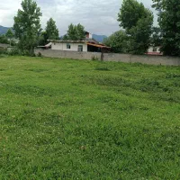 زمین مسکونی در اسالم تالش 300 متر شرایطی