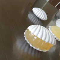 گروه تولیدی حس خوب/صابون خاویار حلزون