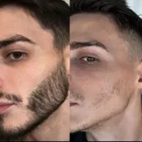 شیر به یالش مینازه مرد به ریشش
