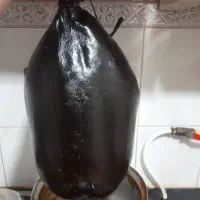 هیزه
